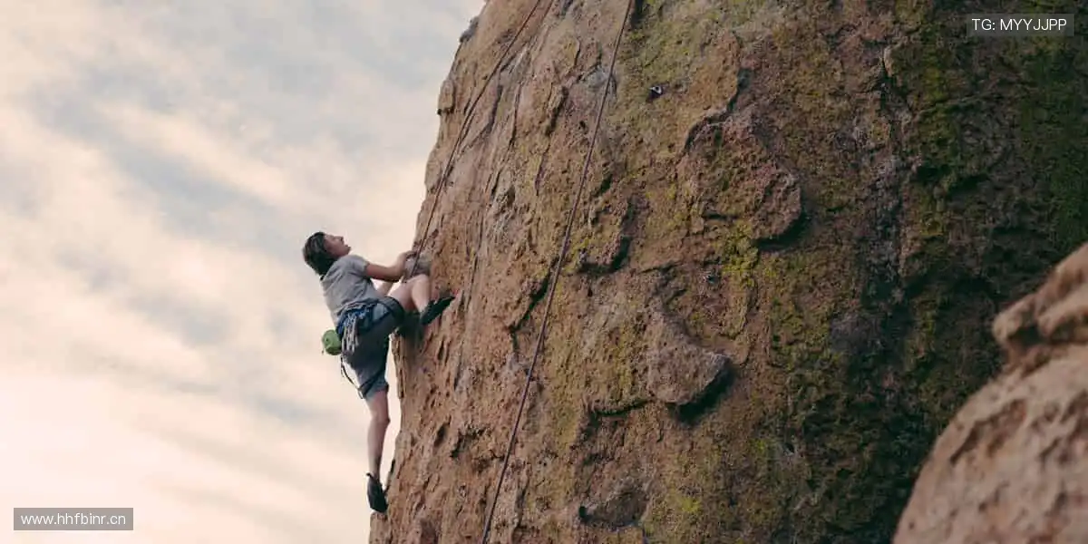 📱【直播平台】超清画质,错过的精彩都在这里回放!